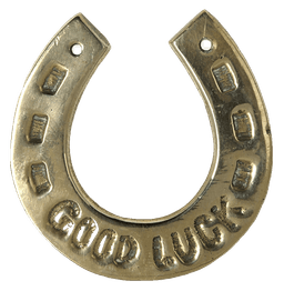 Good luck horseshoe